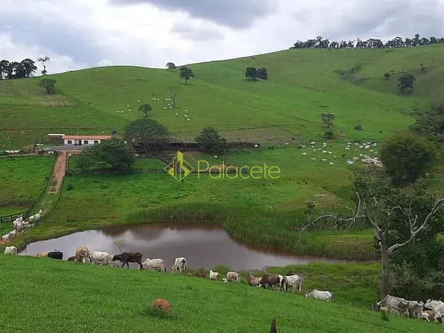 Chácara com 1300000m², à venda, no bairro Centro em São Lourenço
