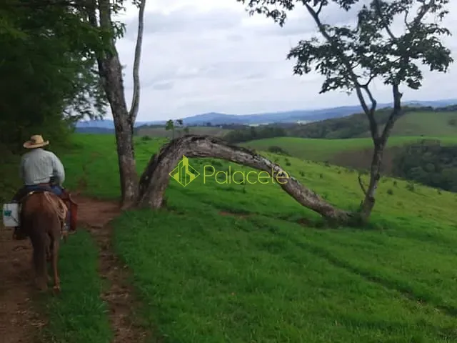 Chácara com 1300000m², à venda, no bairro Centro em São Lourenço
