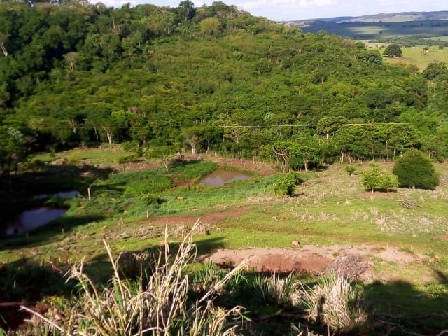 Foto do Chácara - Chácara à venda 5 Quartos, 1 Suite, 145200M², Zona Rural, Doutor Camargo - PR | Londrina Cred Imóveis