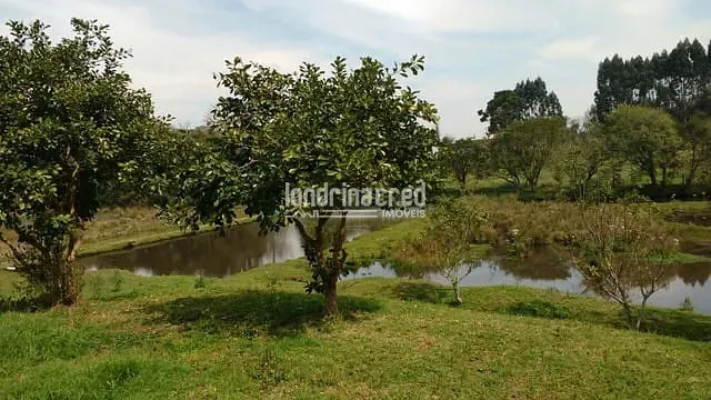 Sítio, 1 quarto, 2 hectares - Foto 3