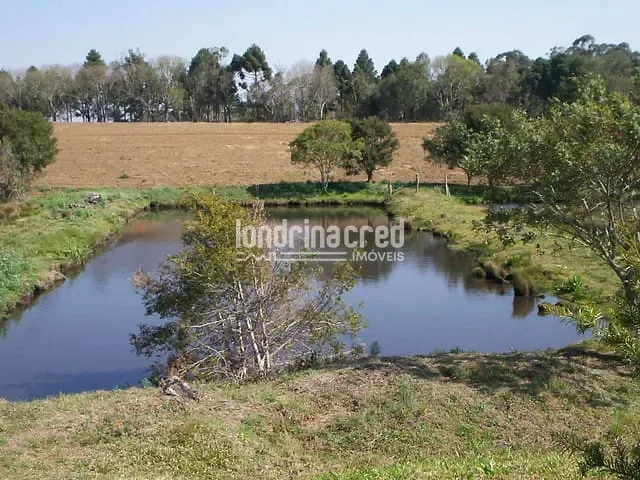 Sítio, 1 quarto, 2 hectares - Foto 2