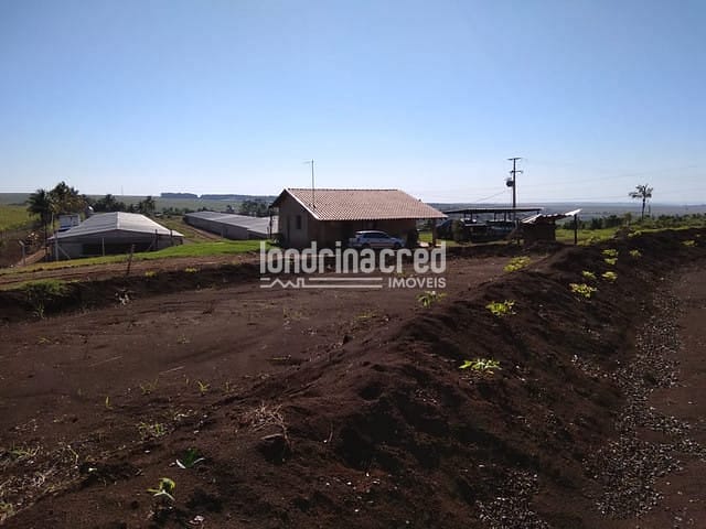 Sítio, 1 quarto, 10 m² - Foto 3