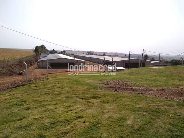 Sítio, 1 quarto, 10 m² - Foto 4