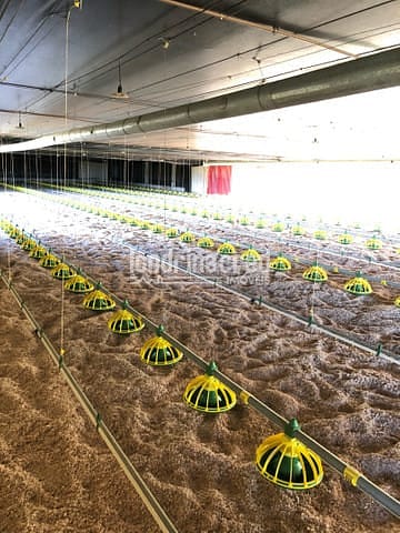 Sítio, 1 quarto, 10 m² - Foto 5