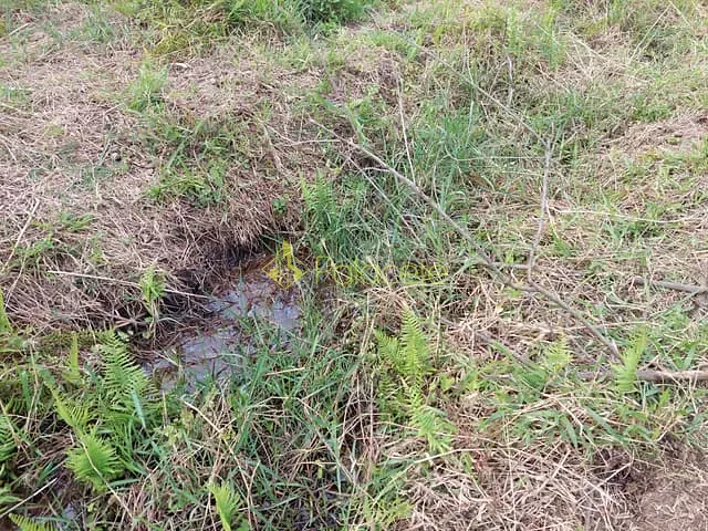 Chácara com 2596m², à venda, no bairro Cidade Nova em Pindamonhangaba
