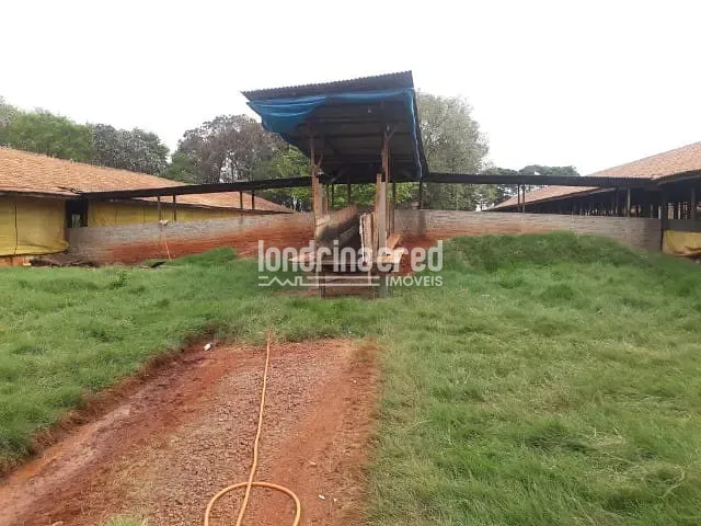 Chácara à venda, no bairro Zona Rural em Toledo