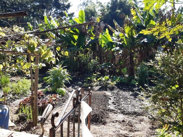 Chácara com 500m² 3 quartos e 2 banheiros, à venda, no bairro Colméia em Pindamonhangaba