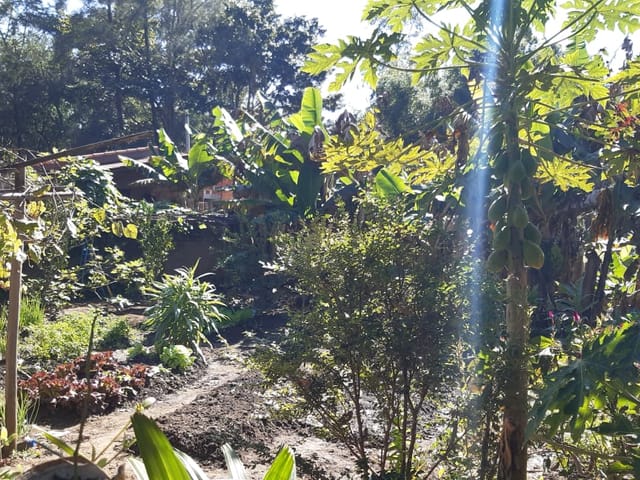 Chácara com 500m² 3 quartos e 2 banheiros, à venda, no bairro Colméia em Pindamonhangaba