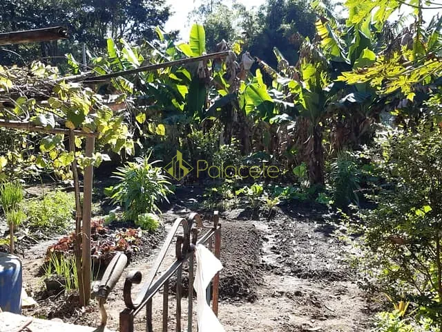Chácara com 500m² 3 quartos e 2 banheiros, à venda, no bairro Colméia em Pindamonhangaba