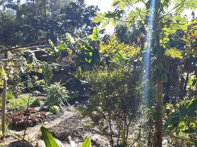 Chácara com 500m² 3 quartos e 2 banheiros, à venda, no bairro Colméia em Pindamonhangaba