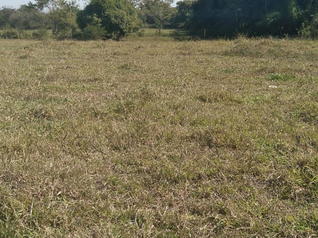 Chácara com 4774m², à venda, no bairro Barretinho em Roseira