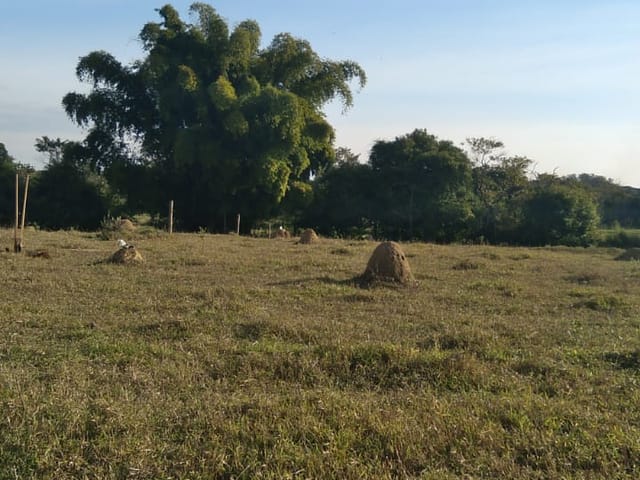 Chácara com 4774m², à venda, no bairro Barretinho em Roseira