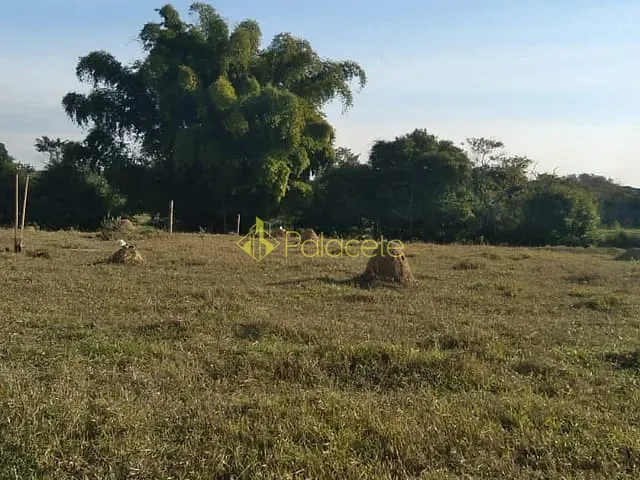 Chácara com 4774m², à venda, no bairro Barretinho em Roseira