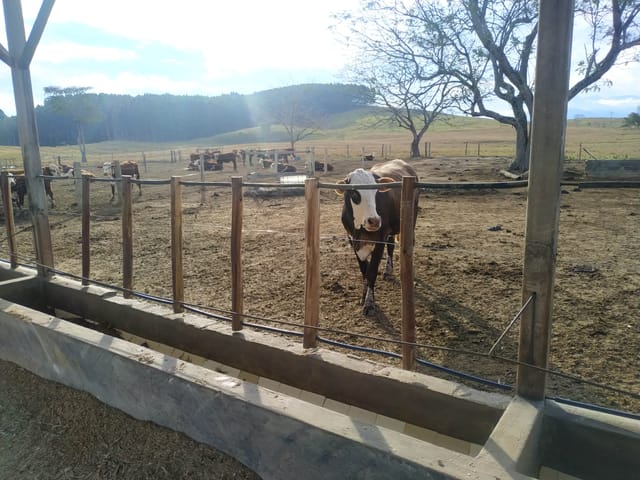 Foto do Chácara - Chácara à venda 3 Quartos, 1 Suite, 4840000M², Zona Rural, Cachoeira Paulista - SP | Palacete Imobiliária