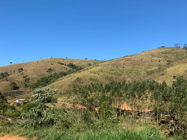 Chácara com 40000m², à venda, no bairro Zona Rural em Lagoinha