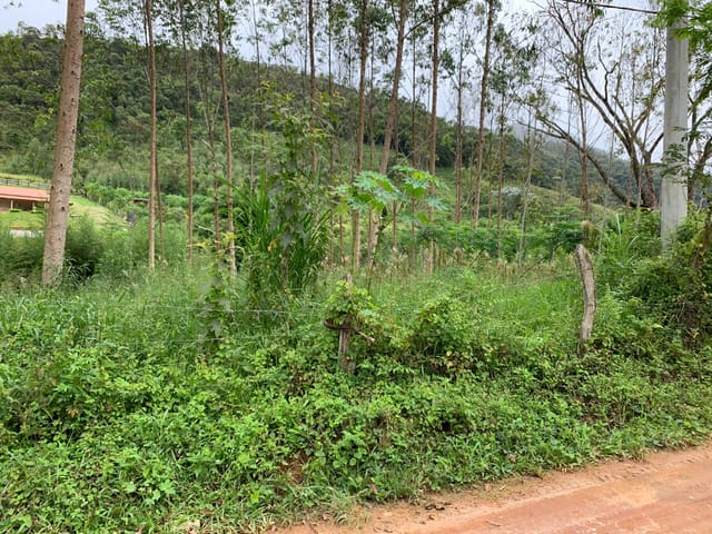 Chácara com 40000m², à venda, no bairro Zona Rural em Lagoinha