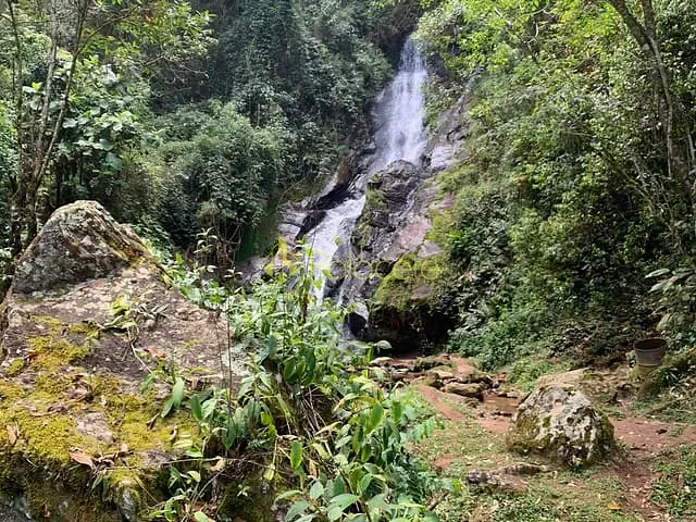 Chácara com 40000m², à venda, no bairro Zona Rural em Lagoinha