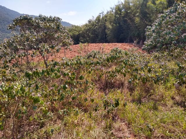 Chácara com 25000m², à venda, no bairro Mandú em Pindamonhangaba