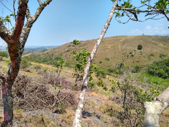Chácara com 25000m², à venda, no bairro Mandú em Pindamonhangaba