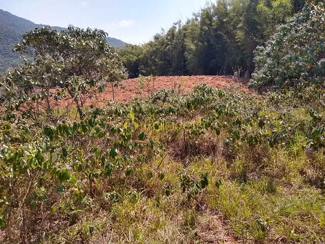 Chácara com 25000m², à venda, no bairro Mandú em Pindamonhangaba
