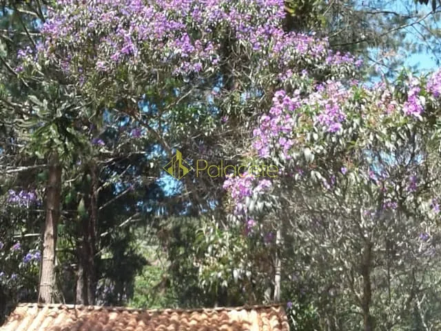 Chácara com 350000m² 4 quartos e 3 banheiros, à venda, no bairro Pedreira em Guaratinguetá