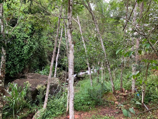 Chácara com 78000m², à venda, no bairro Zona Rural em Pindamonhangaba
