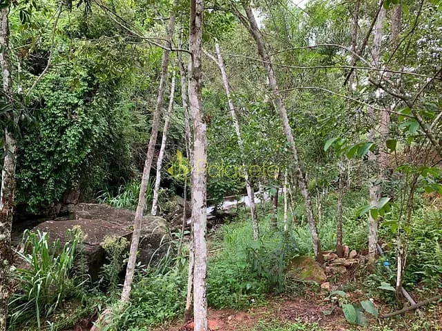 Chácara com 78000m², à venda, no bairro Zona Rural em Pindamonhangaba