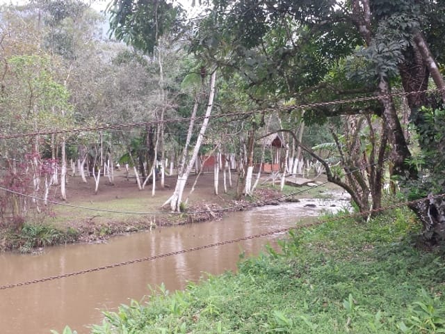 Chácara com 10000m² 3 quartos e 2 banheiros, à venda, no bairro Ribeirão Grande em Pindamonhangaba