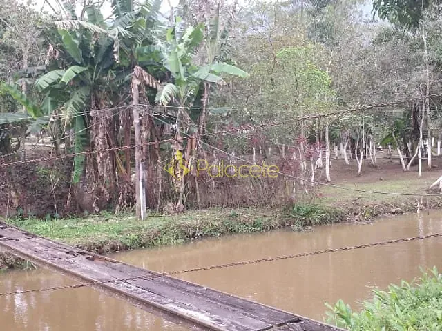 Chácara com 10000m² 3 quartos e 2 banheiros, à venda, no bairro Ribeirão Grande em Pindamonhangaba