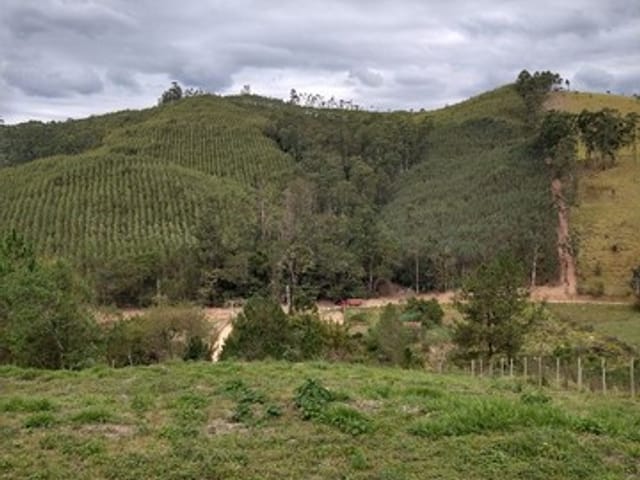 Chácara com 20000m², à venda, no bairro Bairro do Macuco em Taubaté