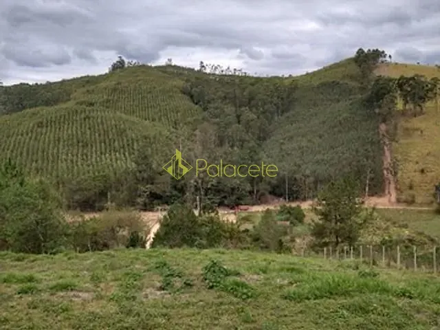 Chácara com 20000m², à venda, no bairro Bairro do Macuco em Taubaté