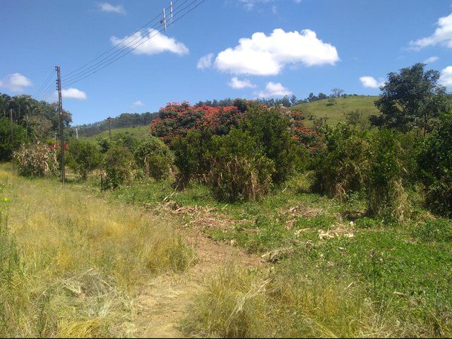 Chácara com 300000m² 2 quartos e 1 banheiro, à venda, no bairro Água Preta em Pindamonhangaba