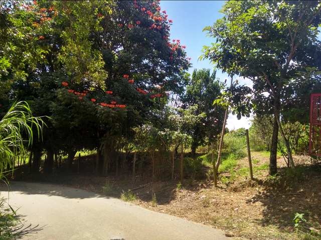 Chácara com 300000m² 2 quartos e 1 banheiro, à venda, no bairro Água Preta em Pindamonhangaba
