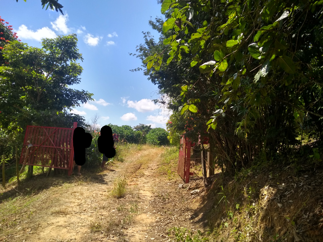 Chácara com 300000m² 2 quartos e 1 banheiro, à venda, no bairro Água Preta em Pindamonhangaba
