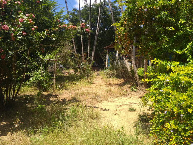 Chácara com 300000m² 2 quartos e 1 banheiro, à venda, no bairro Água Preta em Pindamonhangaba