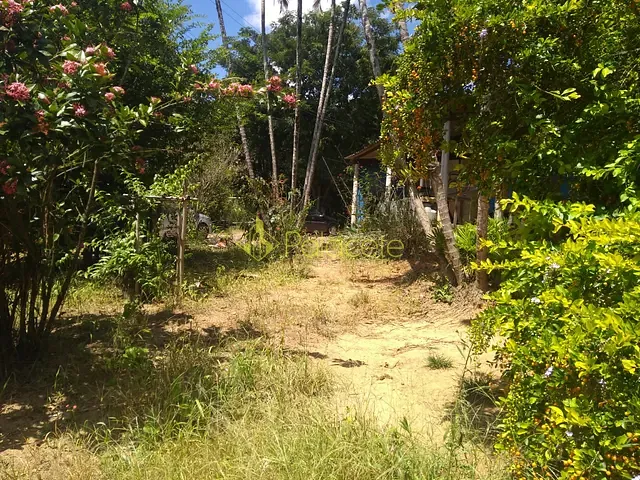 Chácara com 300000m² 2 quartos e 1 banheiro, à venda, no bairro Água Preta em Pindamonhangaba