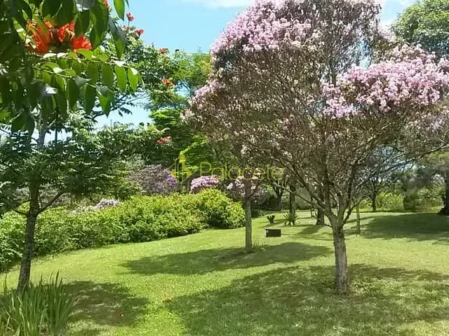 Chácara com 233472m², à venda, no bairro Centro em Pirassununga