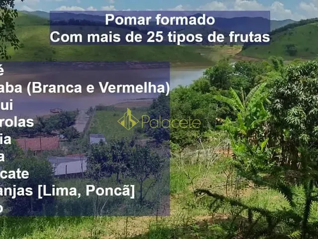 Chácara com 31000m² 3 quartos e 1 banheiro, à venda, no bairro Zona Rural em Redenção Da Serra