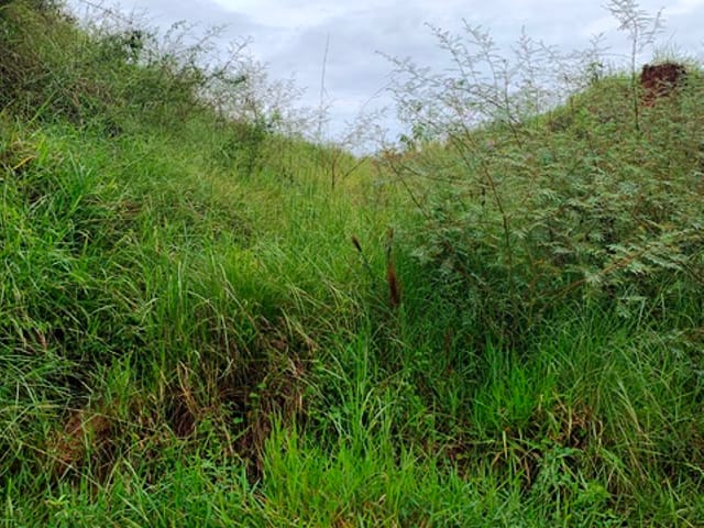Chácara com 1667m², à venda, no bairro Goiabal em Pindamonhangaba