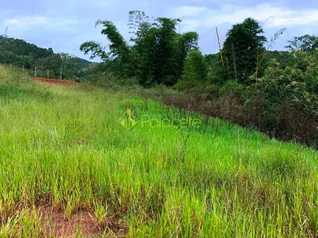 Chácara com 1667m², à venda, no bairro Goiabal em Pindamonhangaba