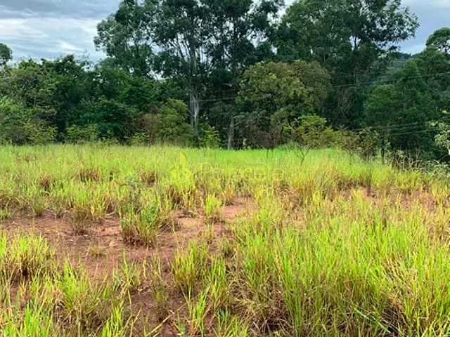 Chácara com 1667m², à venda, no bairro Goiabal em Pindamonhangaba