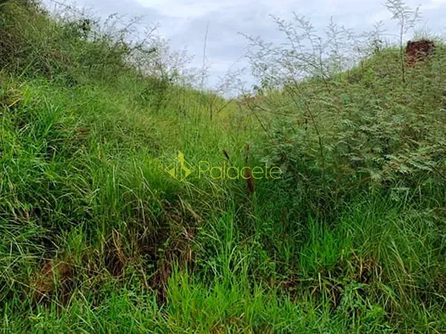Chácara com 1667m², à venda, no bairro Goiabal em Pindamonhangaba