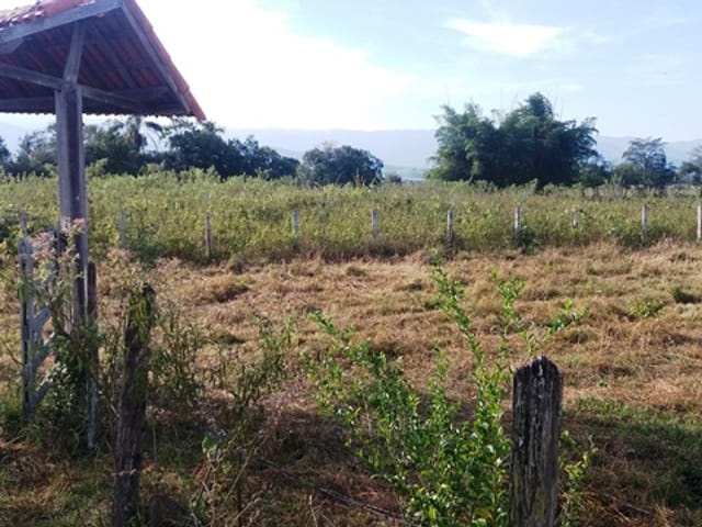 Terreno com 2000m², à venda, no bairro Cruz Pequena em Pindamonhangaba