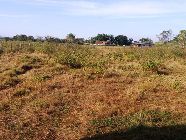 Terreno com 2000m², à venda, no bairro Cruz Pequena em Pindamonhangaba