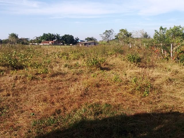 Terreno com 2000m², à venda, no bairro Cruz Pequena em Pindamonhangaba