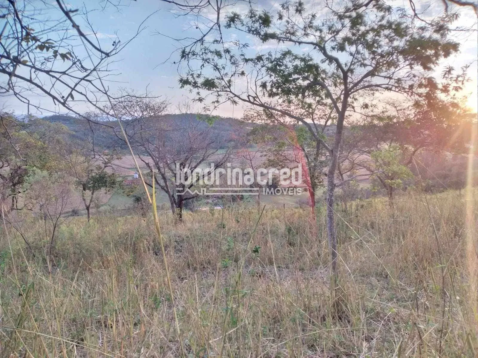 Sítio, 3 quartos, 10000 m² - Foto 3