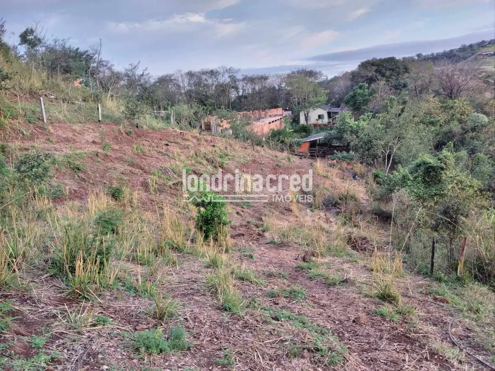 Sítio, 3 quartos, 10000 m² - Foto 12