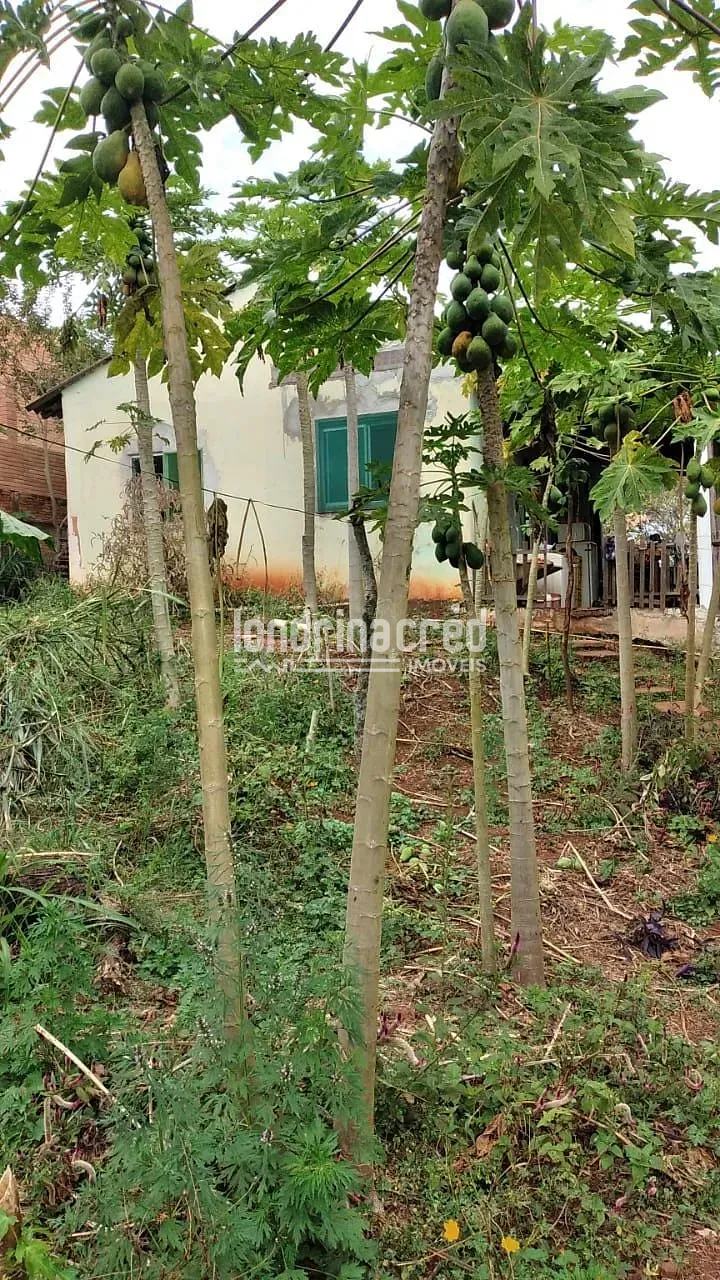 Sítio, 3 quartos, 10000 m² - Foto 13