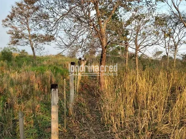 Chácara com 10000m² 3 quartos e 1 banheiro, à venda, no bairro Fazenda Itaúna em Londrina