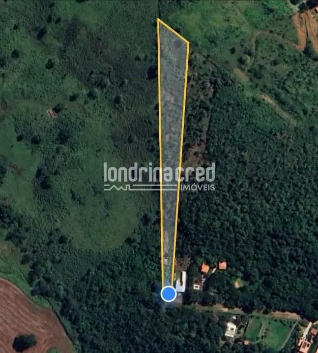 Sítio, 3 quartos, 10000 m² - Foto 2